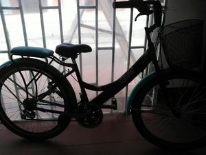 Bicicleta Gw