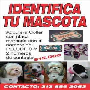 PLACAS MARCADAS PARA PELUDITOS - Cali