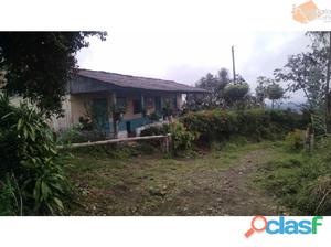 VENTA FINCA EN FILANDIA QUINDIO