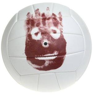 Balón Wilson Voleibol Envío Gratis