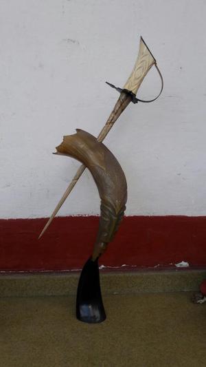 Cacho de Toro