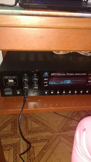 Se Vende Amplificador Y Doscolumnas