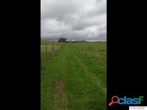 EN VENTA LOTE DE TERRENO EN LA CALERA