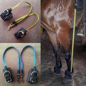 Elasticos Para Caballos