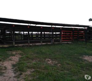 Finca Ganadera En Barrancabermeja Sobre La Ruta Del Sol