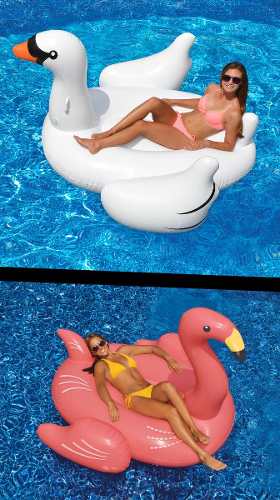 Swimline Gigante Cisne Y Flamingo Flotadores Para Piscinas