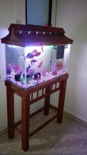 Acuario Completo