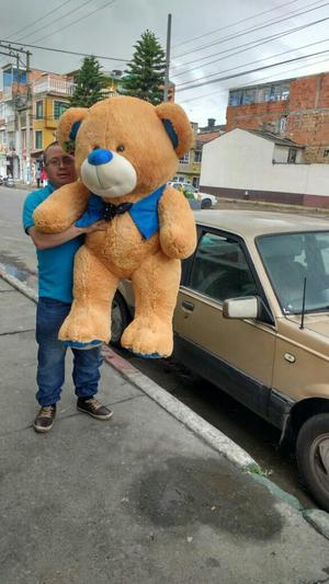 Osos Peluche