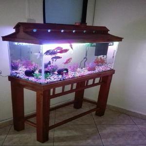 Acuario Completo - Medellín