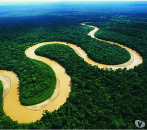 Amazonas...Un destino para disfrutar