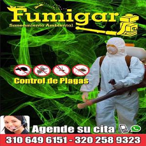 FUMIGACIONES VILLAVICENCIO 3202589323 - Villavicencio