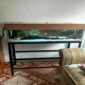 Se Vende Hermoso Acuario - Manizales