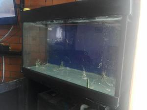 Vendo Acuario Completo - Bogotá