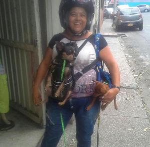 cargador de perro - Medellín