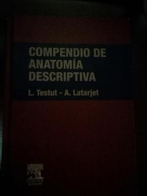 Compendio de Anatomia Descriptiva