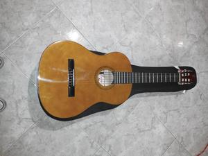 Guitarra Acustica Palmer