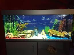 Acuario de sala