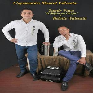 Convocatoria de Musicos - Bogotá