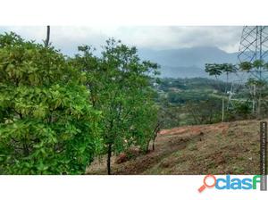 HERMOSO LOTE EN HACIENDA DE POTRERITO,JAMUNDI