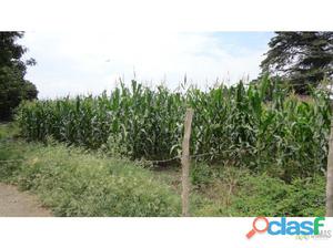 SE VENDE LOTE ROZO VALLE DEL CAUCA