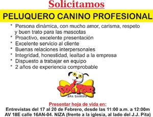 SOLICITAMOS PELUQUERO CANINO PROFESIONAL - Cúcuta