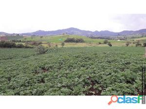 Finca en venta la unión Antioquia 4, 5 hectareas