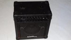 Amplificador Para Guitarra Whasburn Db25 R