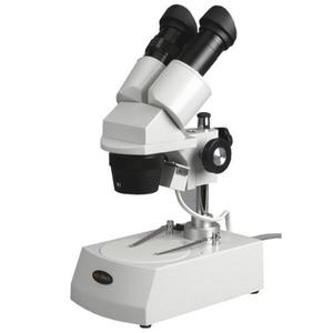Amscope Se306-pz Binocular Estéreo Microscopio, Wf10x Y Wf2