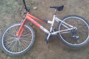 Vendo Cicla Rin 24