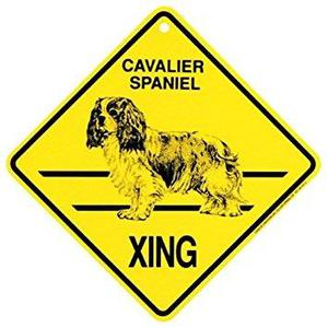 Cavalier Spaniel Xing Precaución Cruzando Regalo Muestra De