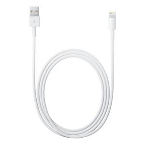 Apple Lightning To Usb Cable (1 M) Md818am/a