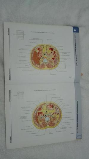 Libro de Anatomia de Netter