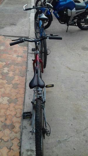 Bicicletas