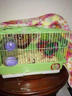 Hamster Y Casa $