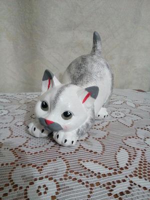 Gatico Blanco