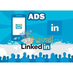 Vídeo Curso Crea Campañas de Marketing en LinkedIn Ads