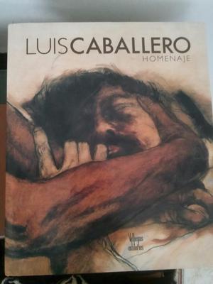 Vendo Libro de Luis Caballero Original