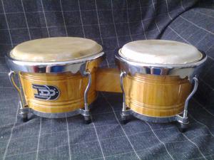 hermoso bongo