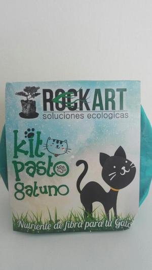 Pasto para Gato