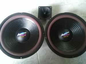 Vendo Dos Parlantes American Sound 10 P