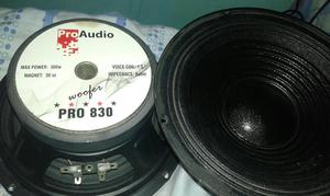 2 Pro Audio de 8 X 300w Leer Descrip