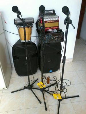 Amplificador Y Microfonos