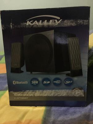 Vendo Sistema de Sonido Kalley