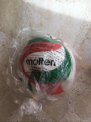 Balon Molten Voleibol 