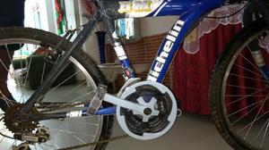 Bicicleta Michelin Todo Terreno