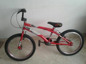 Bicicleta Wild Raider