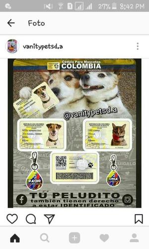 Cedula para Mascota