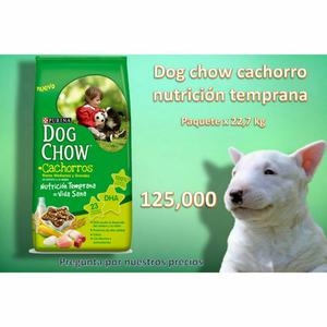 Comida para Perro Dog Chow Cachorro
