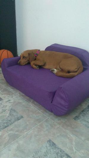 Sofa Cama para Mascotas