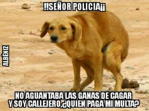 Adopto Perro